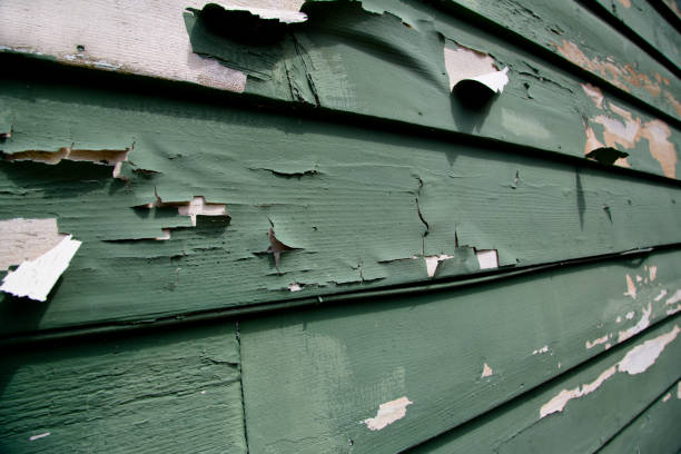 Best Shed Removal  in Savannah, TN